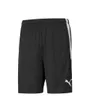 Short Training Homme Liga