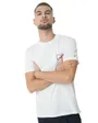 Tee-Shirt Homme Slim Pop Color Flag