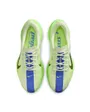 Chaussures de running Homme PEGASUS PLUS Vert
