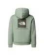 Sweat à capuche Enfant TEEN BOX NSE REGULAR PULLOVER HDIE Vert