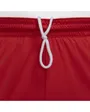 Short Homme M NK DF ICON+ 8IN SHORT Rouge