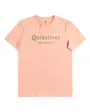 T-shirt manches courtes Homme SILVERLINING M TEES Rose