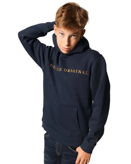 Sweat à Capuche Homme BEN FL B