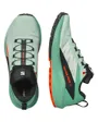 Chaussures de trail Femme SHOES SENSE RIDE 5 Vert