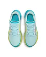 Chaussures de trail Homme NIKE ZOOMX ULTRAFLY TRAIL Bleu