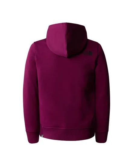 Sweat à capuche Enfant TEENS BOX P/O HOODIE Bordeaux