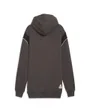 Sweat à capuche Homme BVB ARCHIVE HOOD Marron