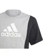 Ensemble de survetement Enfant J CB T SET Gris