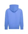 Sweat à capuche Enfant plus agé JDN JORDAN HBR FLC PO HOODIE Bleu