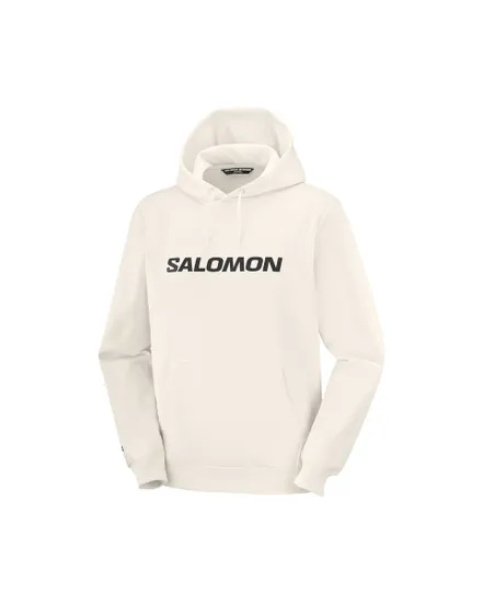 Sweat À Capuche Homme Salomon Logo