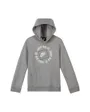 Sweatshirt Enfant plus âgé B NSW JDI HOODIE Gris