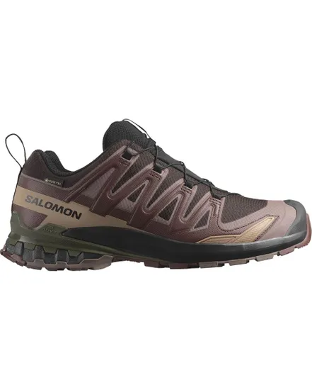 Chaussures de trail Homme SHOES XA PRO 3D V9 GTX Marron