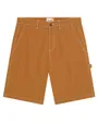 Short Homme Carpenter Lavé