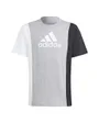 Ensemble de survetement Enfant J CB T SET Gris
