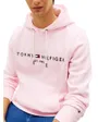 Sweat à Capuche Homme Tommy Logo Hoody
