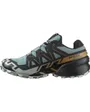 Chaussures Trail Homme Speedcross 6 GTX