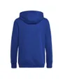 SWEAT À CAPUCHE - B BL HD ENFANT