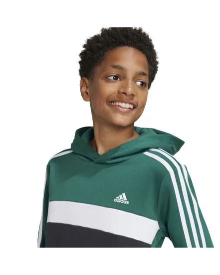 Sweat à capuche Enfant J 3S TIB FL HD Vert