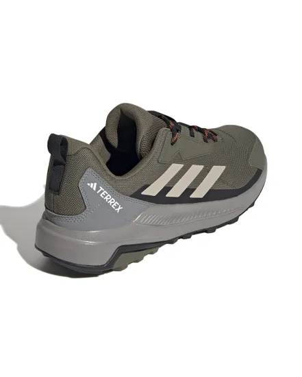 Chaussures de randonnée Homme TERREX ANYLANDER Marron