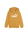 Sweat à Capuche Homme Ess No 1 Logo Hoodie Fl Ps