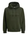 Sweat à capuche manches longues Homme JJESTAR JJ SWEAT HOOD NOOS Vert