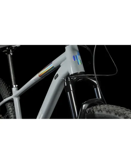VTT semi rigide ACCESS WS SLX Gris/Argent