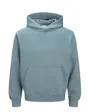 Sweat à capuche Homme JJEURBAN EDGE NOOS