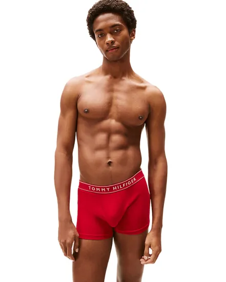 Slips Homme 3P Trunk DTM