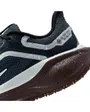 Chaussures de running Femme W AIR ZM PEGASUS 41 GTX Bleu