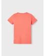 NKMFLASKA SS TOP