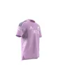 Tee shirt manche courte Homme AB PERF TEE Rose