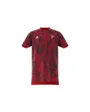 Tee shirt manche courte Enfant POGBA JERSEY Bordeaux