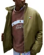 Veste Matelassée Homme Essential Padded
