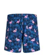 Short De Bain Homme Maui Vibes