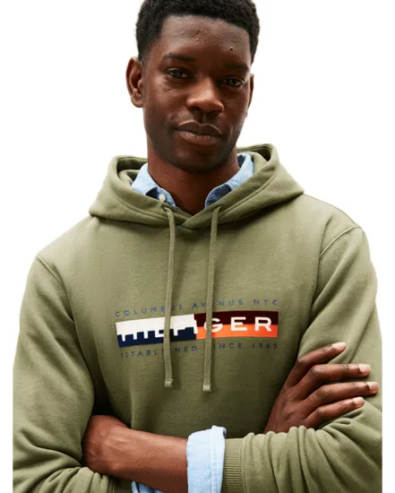 Sweat à capuche Homme TH COLOUR BLOCK GRAPHIC HOODIE Vert