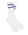 Chaussettes Sport Homme 2P SK Blue Stripe