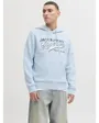 Sweat à capuche Homme JJELOGO SWEAT HOOD 2 COL 25/26 NOOS