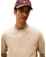 Sweat Homme Regular Flag Crew
