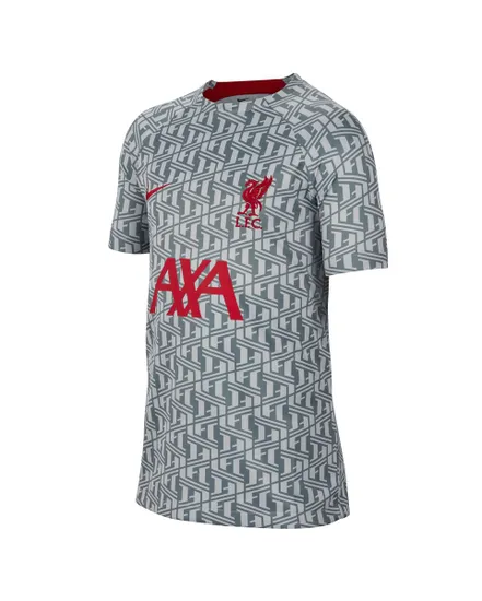 Maillot de football Enfant LFC Y NK DF TOP SS PM Gris