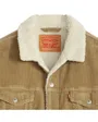 Veste Homme Relaxed Fit Sherpa Trkr