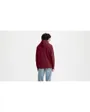 Sweat a capuche manches longues Homme STANDARD GRAPHIC HOODIE Rouge