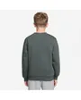 Sweat Garçon K NSW CLUB FLC CREW LS LBR Vert