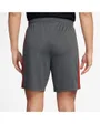 Short Homme M NK DF ACD23 SHORT K BR Gris