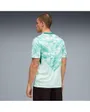 Maillot de football Homme FPF AWAY JERSEY REPLICA Vert