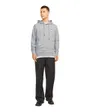 Sweat à Capuche Homme Jjepaulos