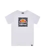 T-shirt manches courtes Enfant SANSI JNR TEE Blanc