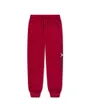 Pantalon de survetement Enfant plus agé JDB MJ BASELINE FLC PANT Rouge