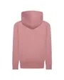 Sweat à capuche Garçon JDB JUMPMAN SUSTAINABLE PULLOV Rose