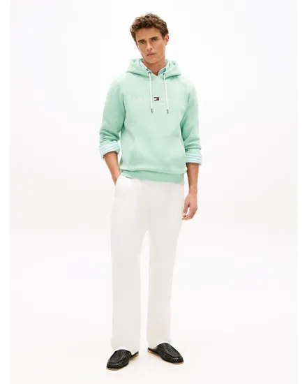 Sweat à capuche Homme TOMMY LOGO HOODY Vert