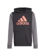 Sweat à capuche Enfant J BL CB HD Noir